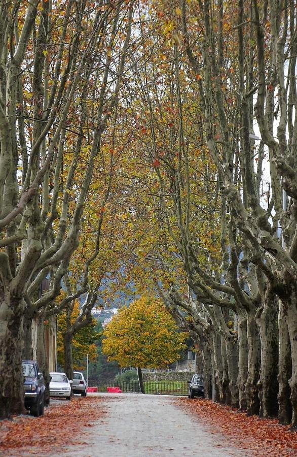 Apartmán Douro - A Casinha Da Ana Vila Real Exteriér fotografie